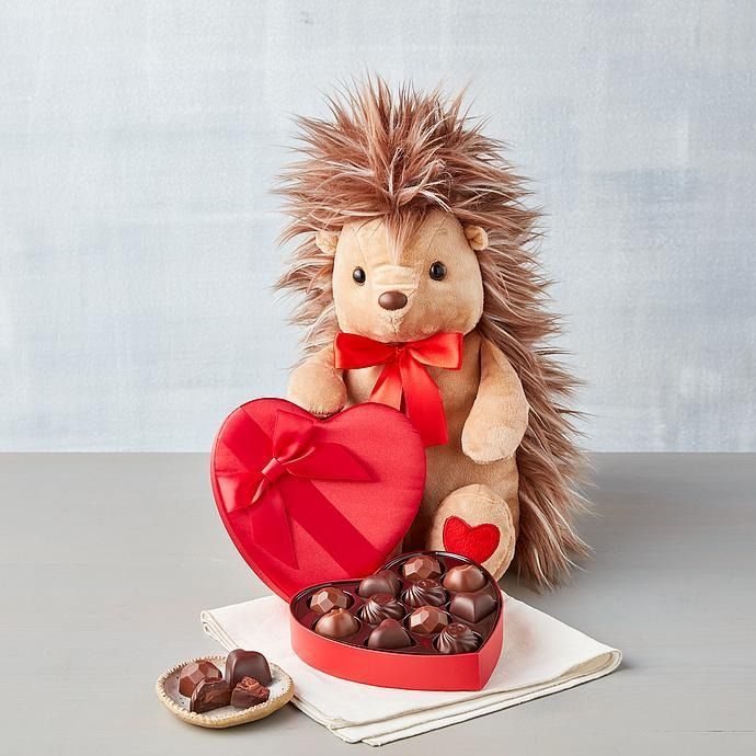 Quill You Be Mine Plush Porcupine Gift