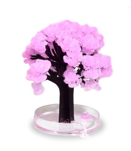 Magic Sakura árbol en miniatura de Thumbs Up