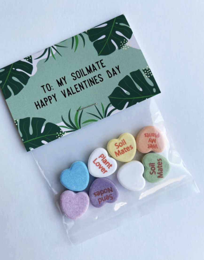 valentines day pun gifts