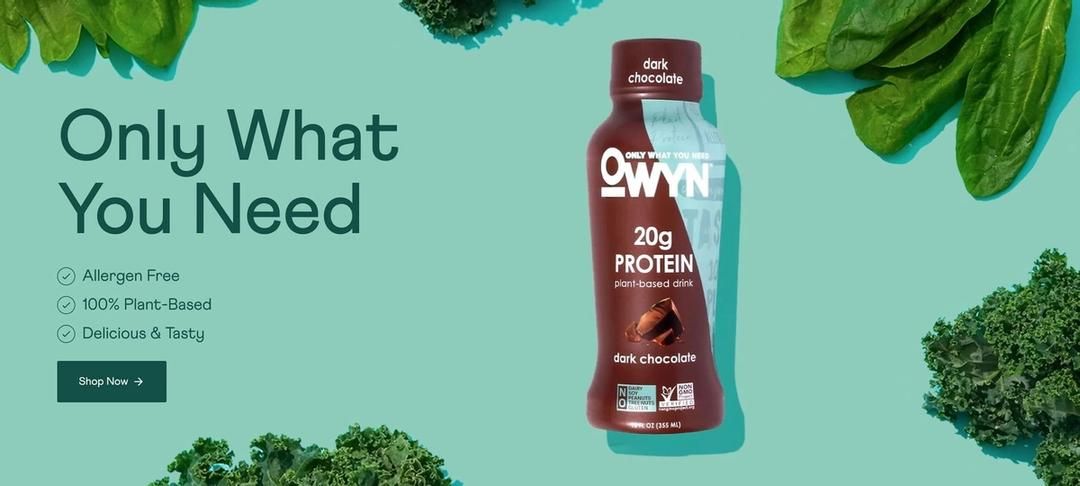 Protein Shakes