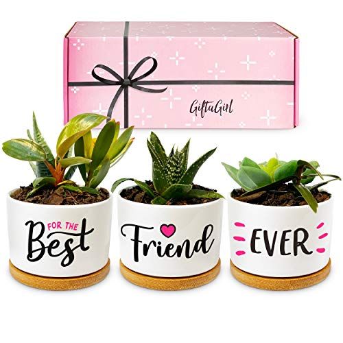 Valentines Day Gifts For Her, Friends Gifts For Women, Best Friend For  Women Gifts, Best Friend Birthday Gifts, Best Friend Birthday Gifts For  Women