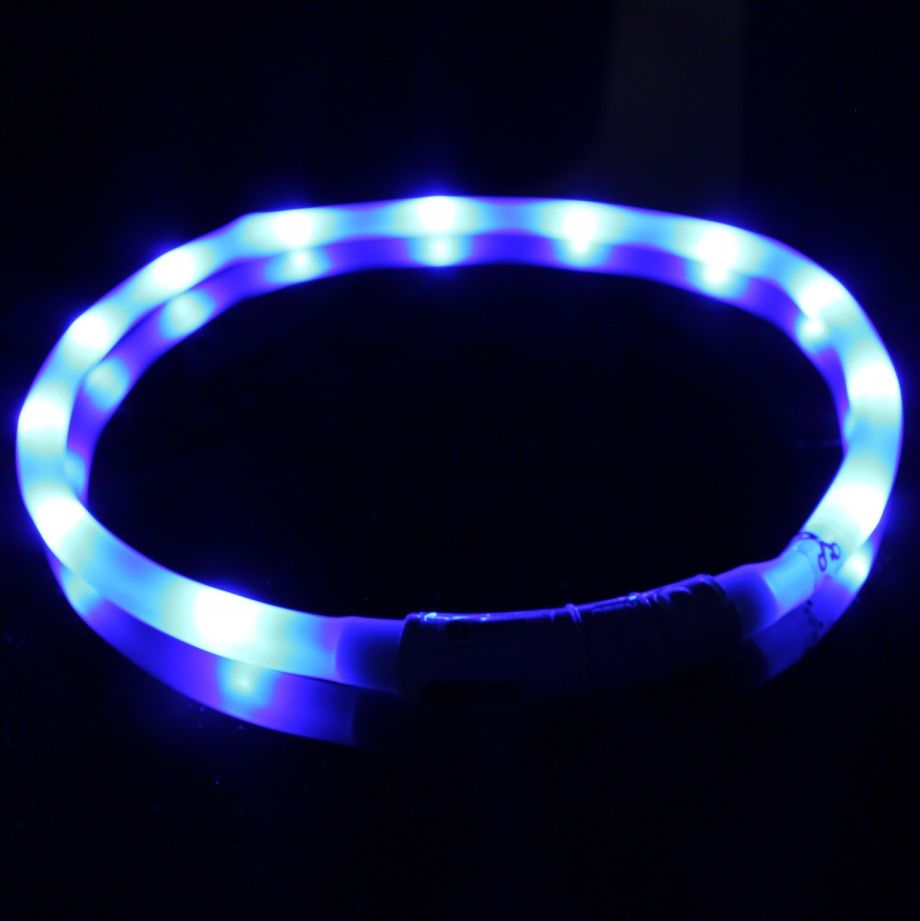 MASBRILL LED Dog Collars Flashing Light Up Dog Collar Rechargeable and  Safety Night Glowing Dog Collar for Small Medium Large Dogs Blue-S 
