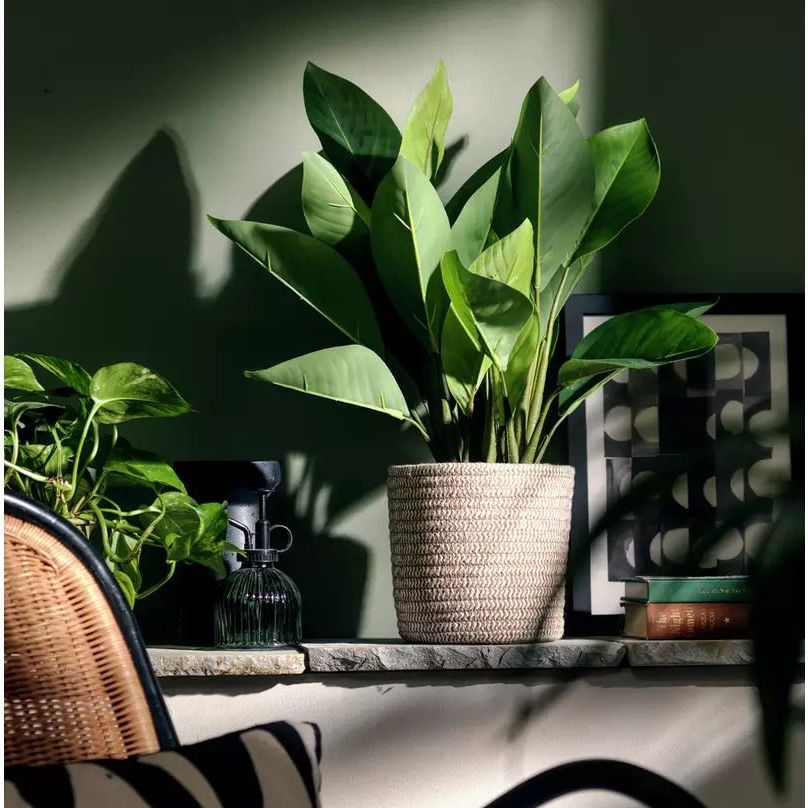 Large Faux Plant in Basket