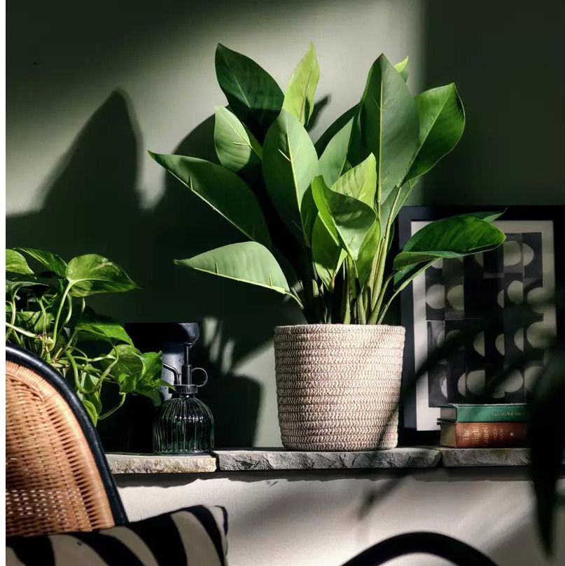 Large Faux Plant in Basket