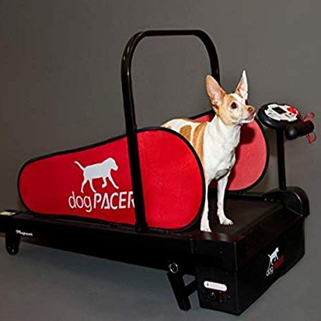 Minipacer Treadmill