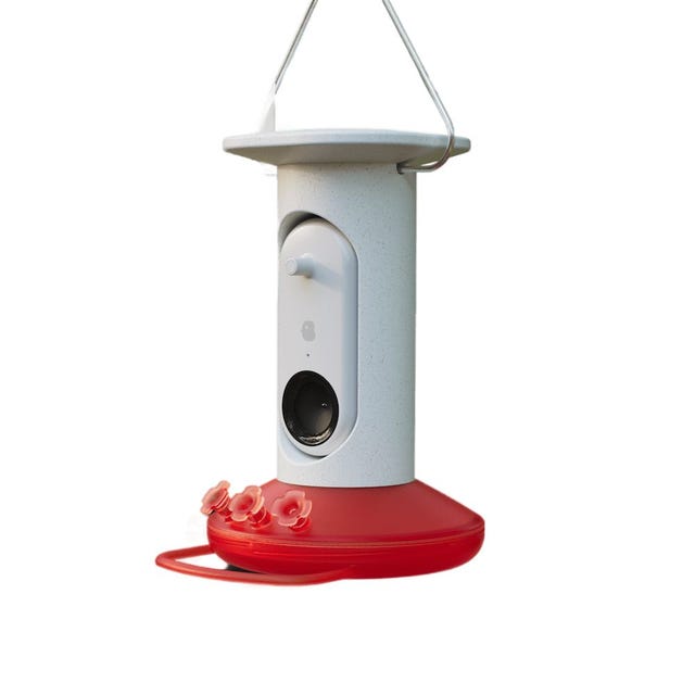 Smart Hummingbird Feeder