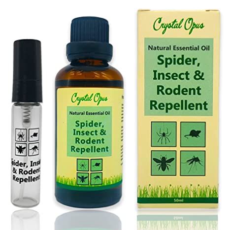 peppermint oil deterring spiders naturally