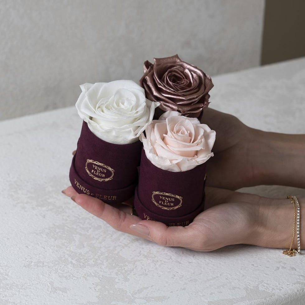 Venus Et Fleur Eternity Rose