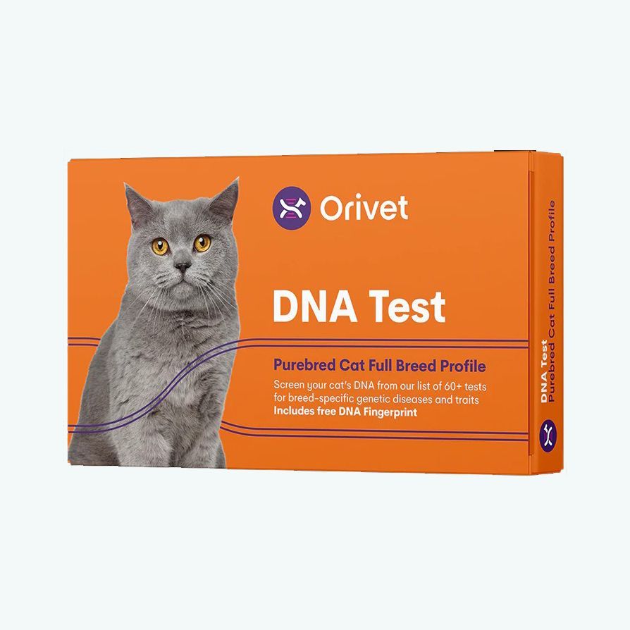 DNA Test Purebred Cat Full Breed Profile