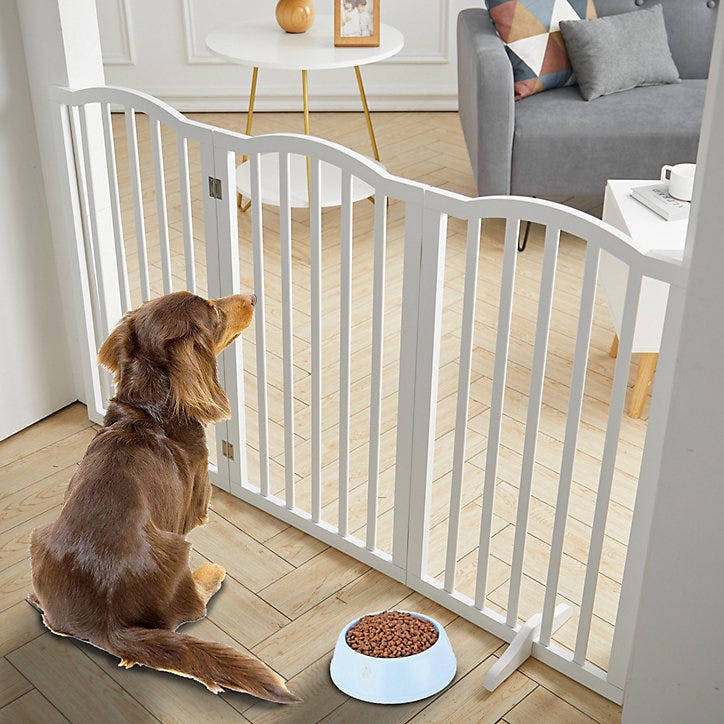 can you use a baby gate for a dog