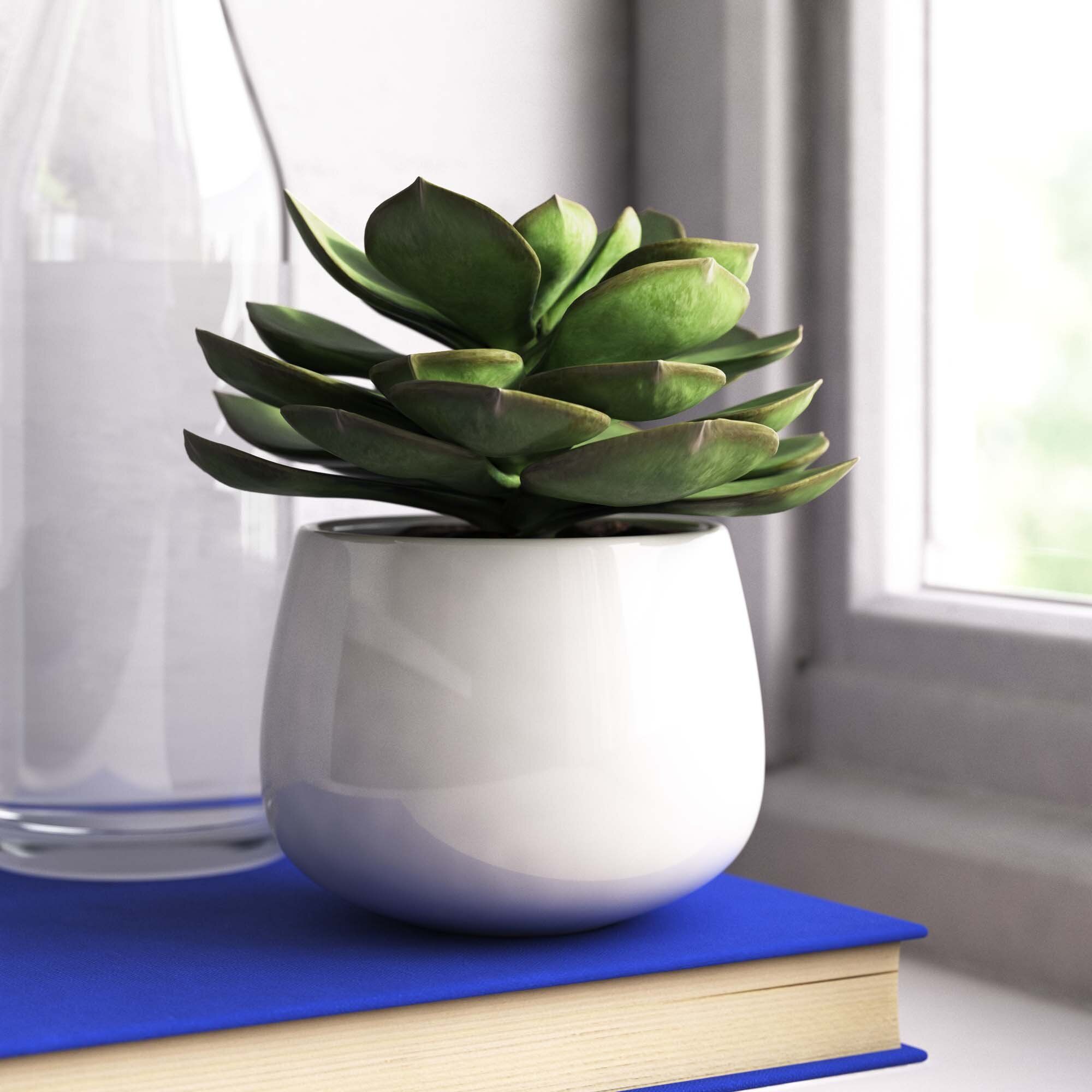 13 Realistic Artificial Plants That Require No Maintenance