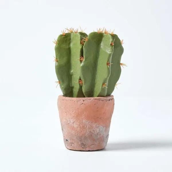 Small artificial cactus in a terracotta pot