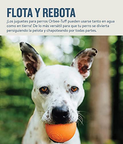 Pelota para perros Orbee-Tuff Squeak 