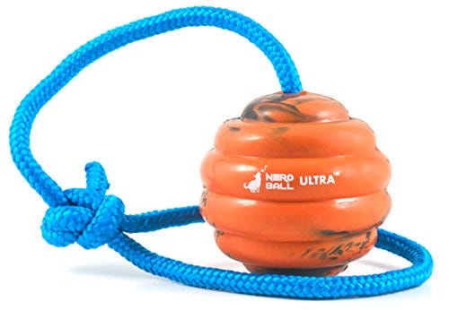 Bola de entrenamiento para perros