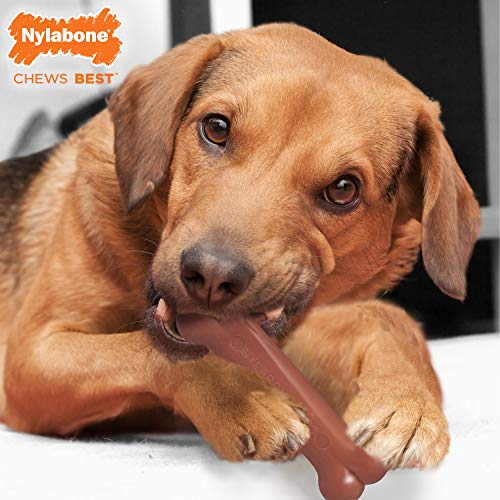 Hueso masticable para la higiene dental