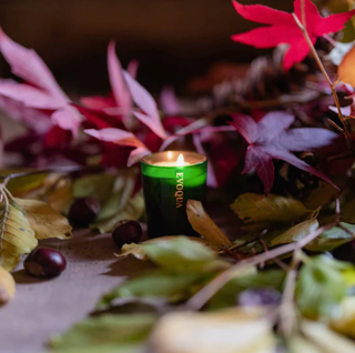 Vetiver, Jasmine & Cedarwood - Scented Candle