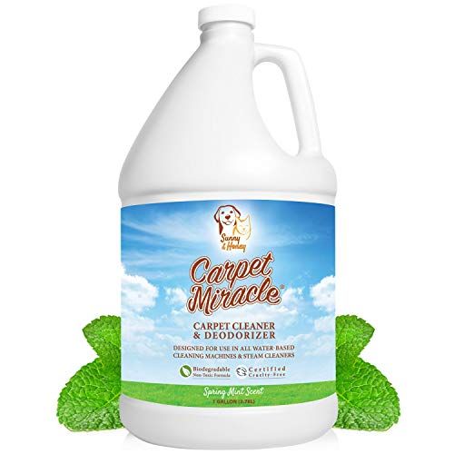 Carpet Cleaner