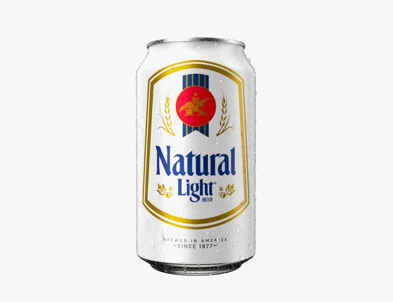 Case Of Natty Light Shelly Lighting