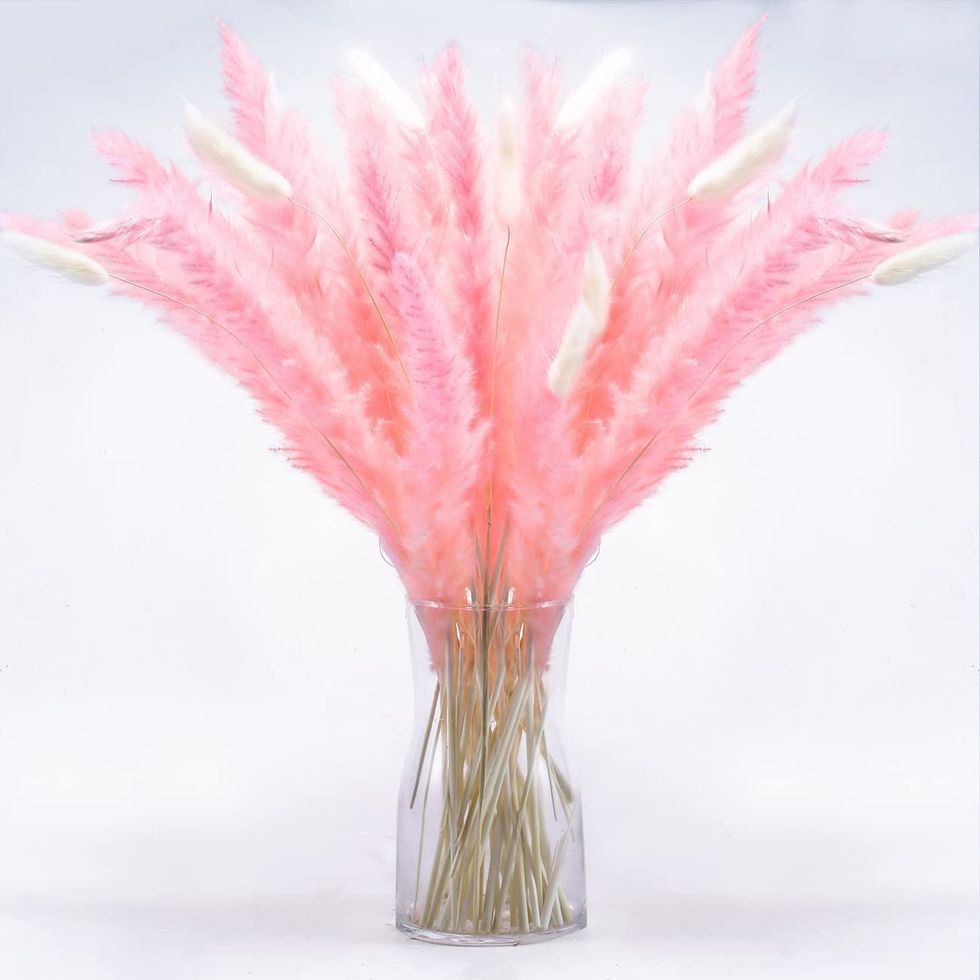 dried pink pampas grass