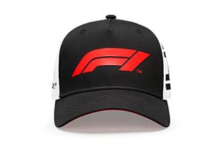 Formula 1 technology collection