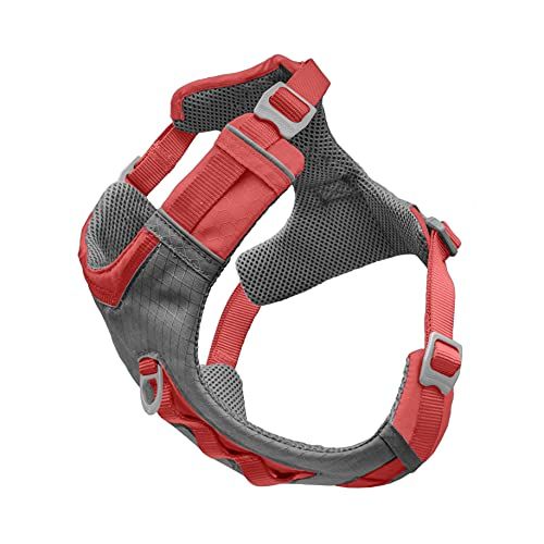 Best dog harness outlet with handle