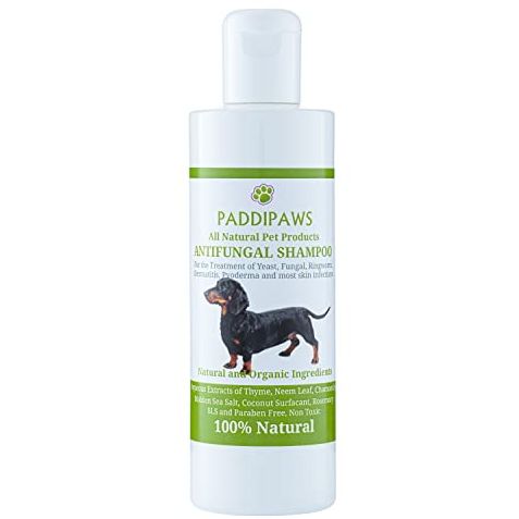 100% Natural Antifungal and Antibacterial Dog Shampoo - Yeast Infections, Ringworm, Dermatitis, Pyoderma - Safe - Natural - Paraben and SLS Free - 250ml - Larger bottle available from the store.