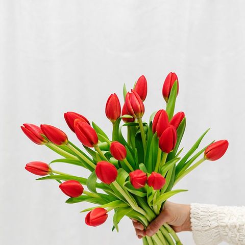 Los 20 ramos de flores más bonitos para San Valentín