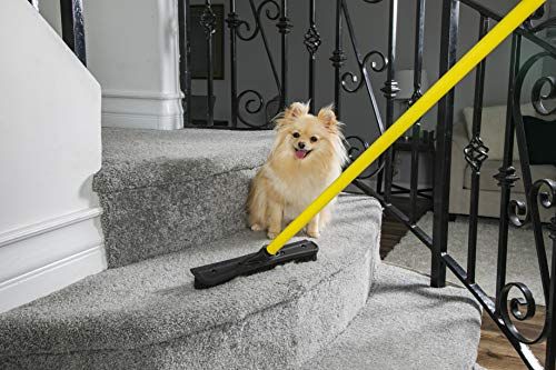 Best dog clearance fur remover