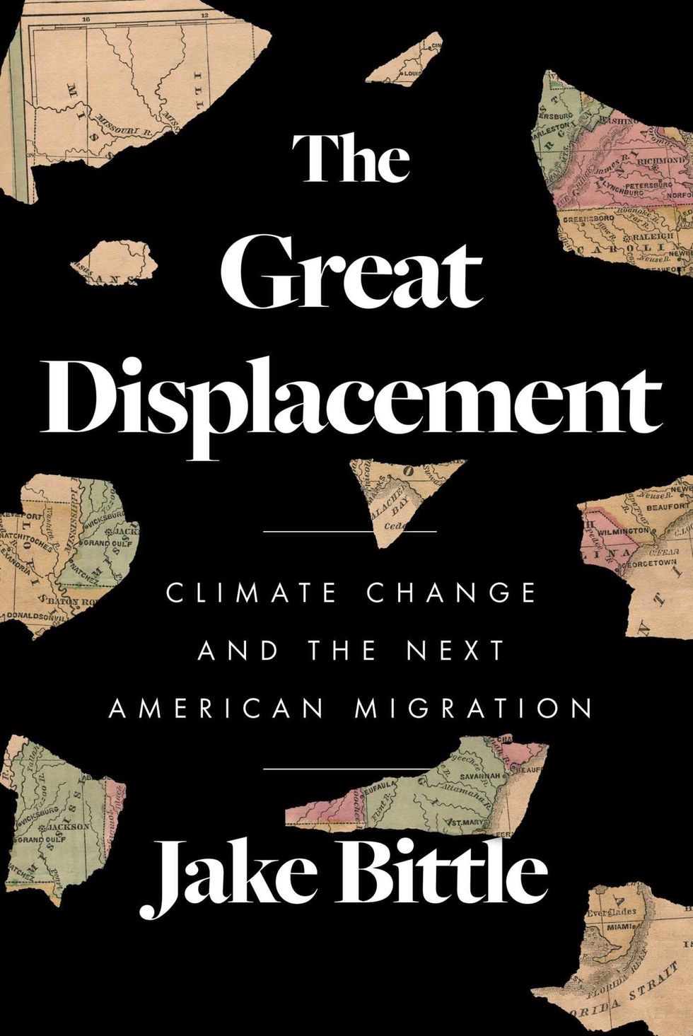 <i>The Great Displacement</i>, by Jake Bittle