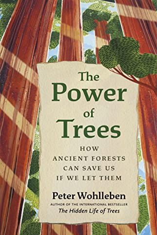<i>The Power of Trees</i>, by Peter Wohlleben 