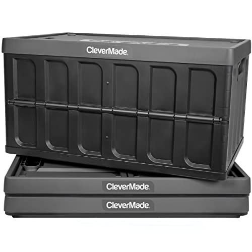Collapsible Storage Bins with Lids