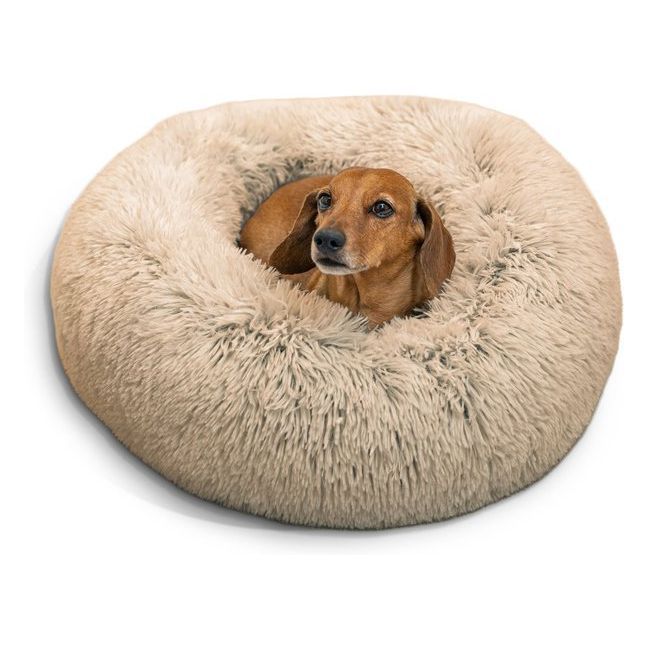 Grreat choice 2024 dog bed