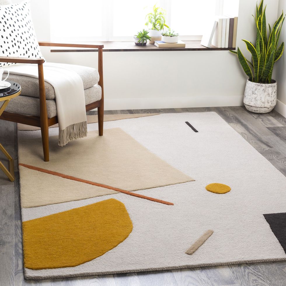 13 Best Places to Buy Cheap, Stylish Area Rugs Online in 2024