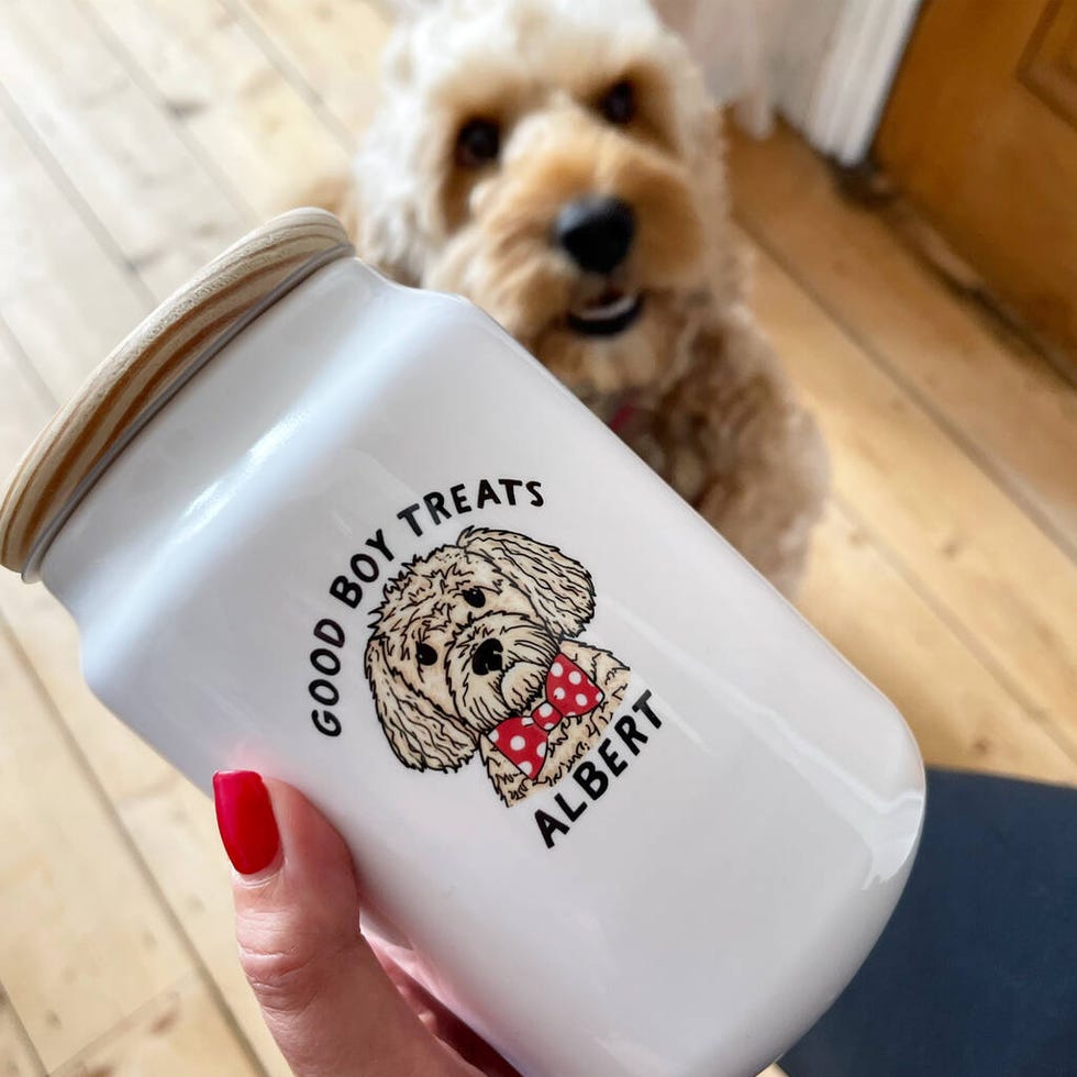 https://hips.hearstapps.com/vader-prod.s3.amazonaws.com/1675766621-original_personalised-good-dog-treat-jar.jpg?crop=1xw:1.00xh;center,top&resize=980:*