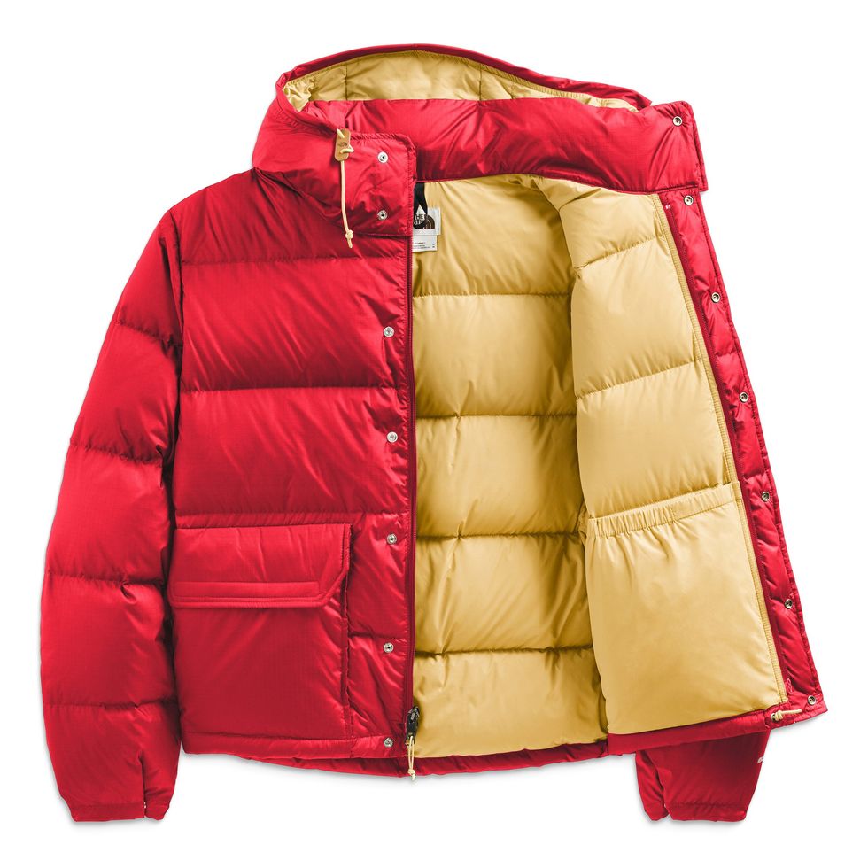 The North Face / Men's Printed 71 Sierra Down Short Jacket