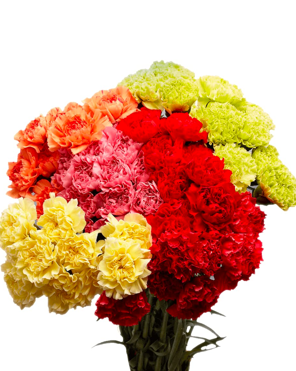 Best Flower Delivery Services of 2023 - Flowers to Order Online