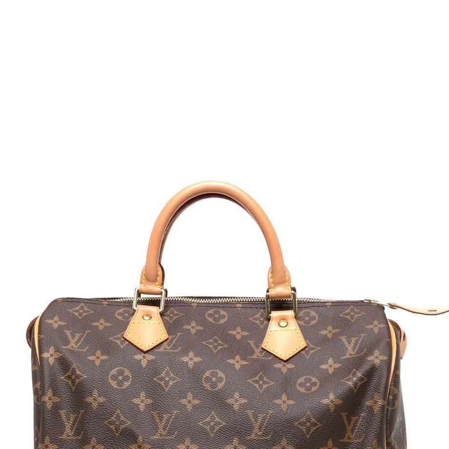 Everything to Know About Louis Vuitton's Speedy Bag – WWD