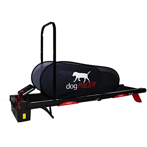 Goplus dog online treadmill