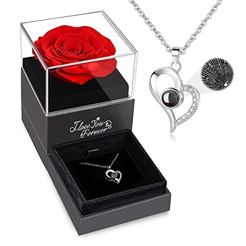 Preserved Real Rose with Necklace