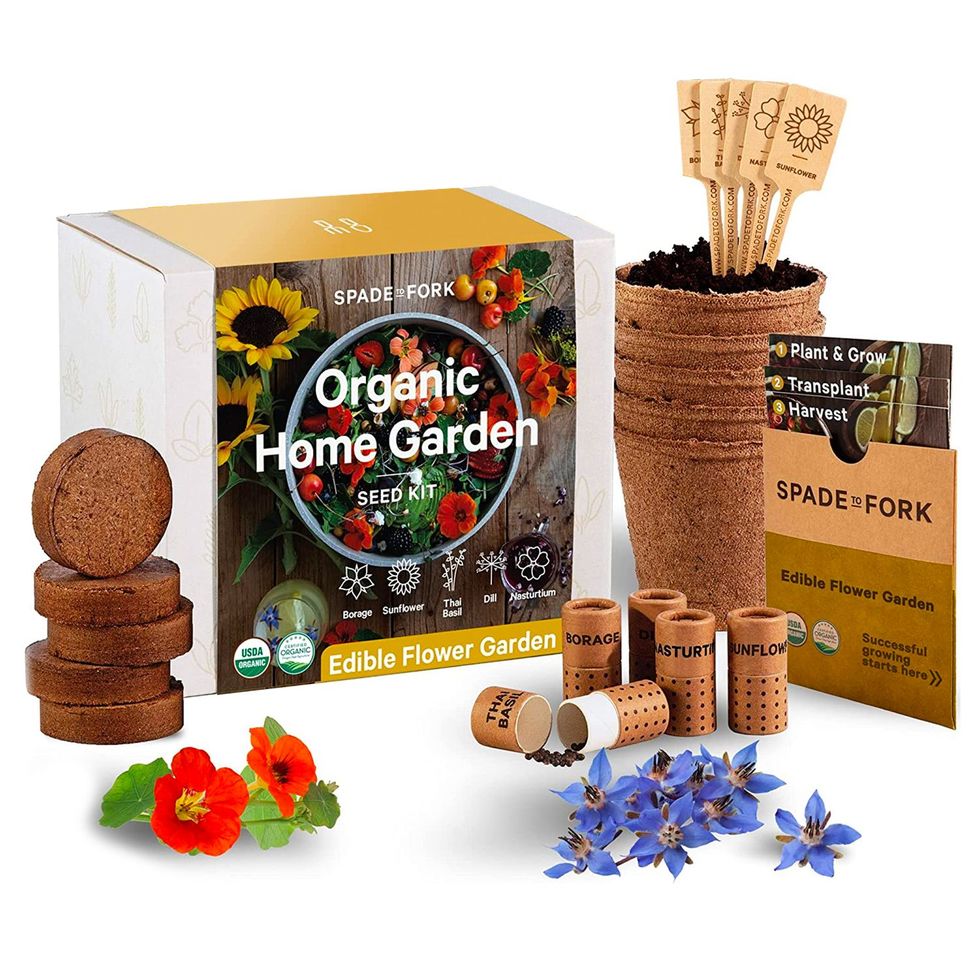 Organic Edible Flower Garden Seed Kit