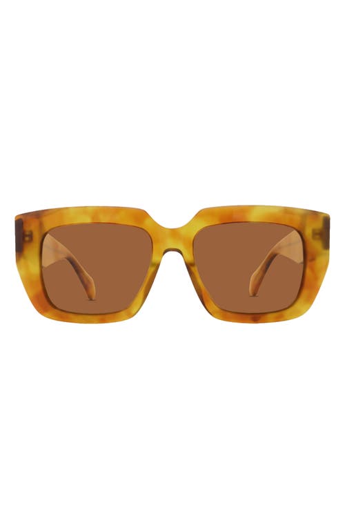 The Irina Square Sunglasses 