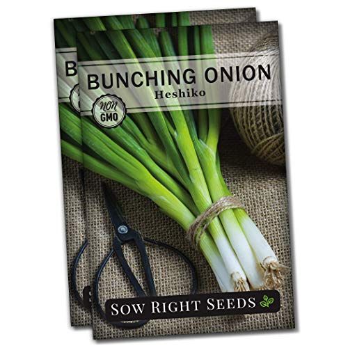 Heshiko Bunching Onion Seeds