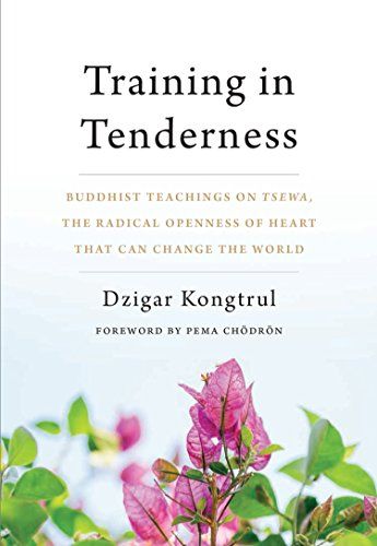 <i>Training in Tenderness</i>, by Dzigar Kongtrul