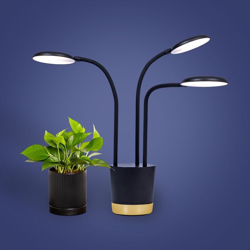 Good grow deals lights for plants