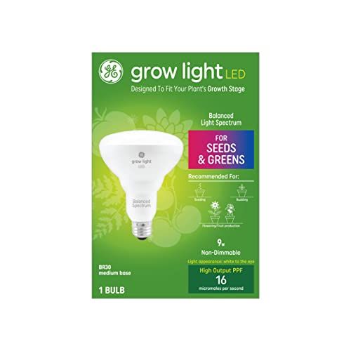 Best light bulb for growing deals plants