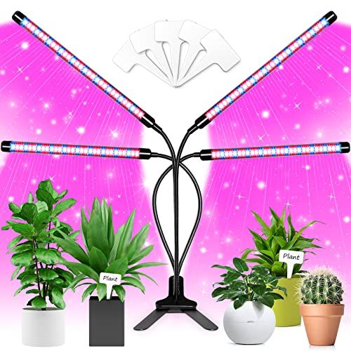 9 Best Grow Lights For Indoor Plants In