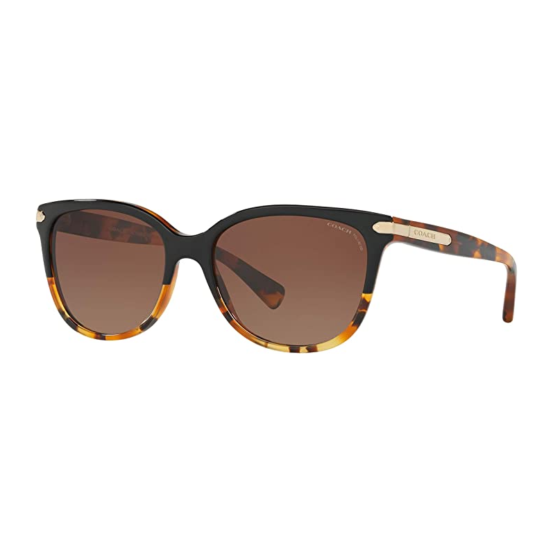 Tortoise Sunglasses