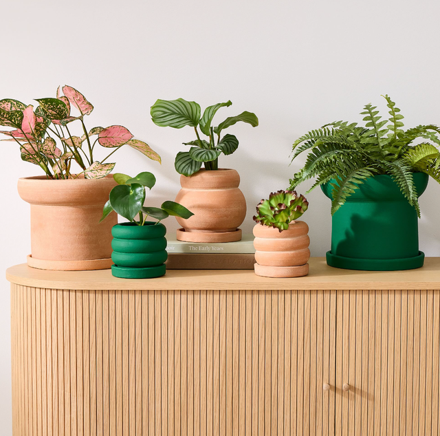 Terracotta Tabletop Planters