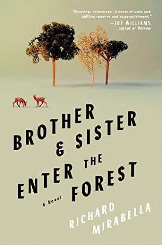 Brother & Sister Enter the Forest: A Novel 