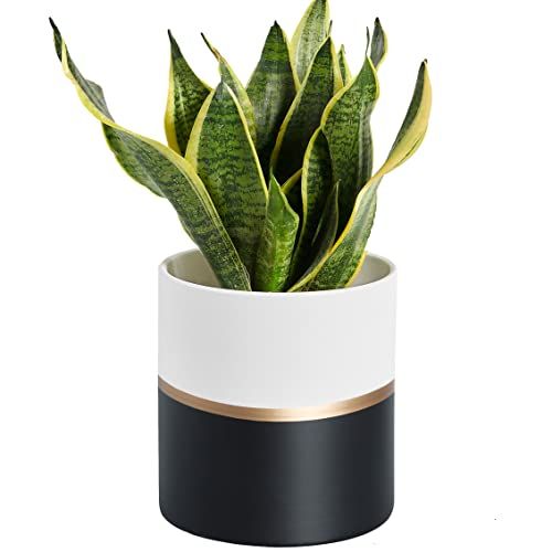 12 Cheap Planters And Flower Pots Under 25 At Amazon Walmart   1677169617 41SC0lMy1L. SL500  